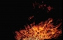 Pentecost - Acts 2