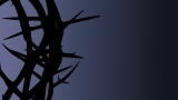 Thorns on Blue