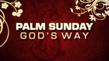 Palm Sunday - God's Way