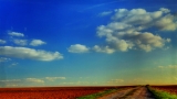 Straight And Narrow HD Still