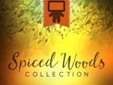 Spiced Woods Collection