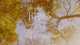 Gratitude