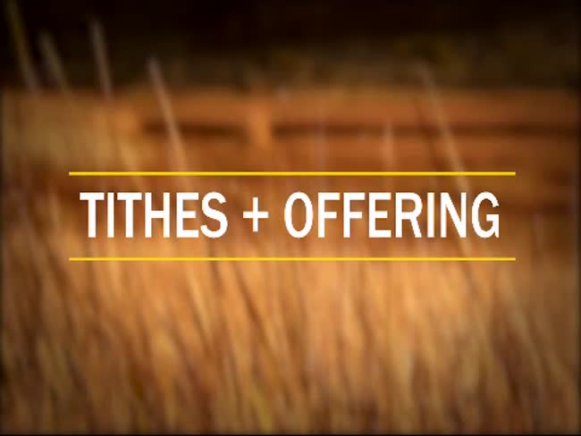 Animated Tithes and Offering Writing on Nature Reeds Background Video