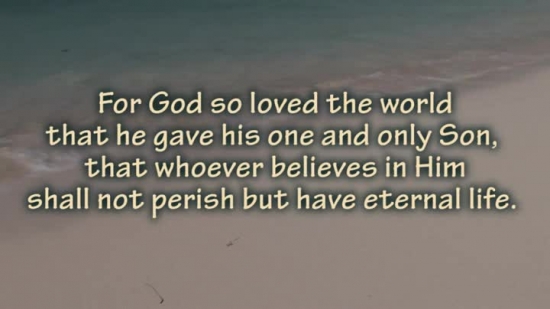 John 316 (Multiversion pack, HD and SD) Revolution