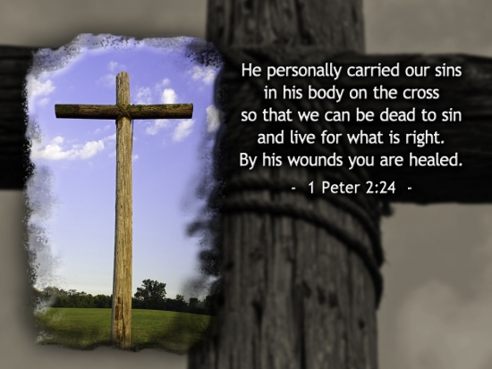 Cross & 1 Peter 2:24 - SD & HD still | Vision 111 | SermonSpice