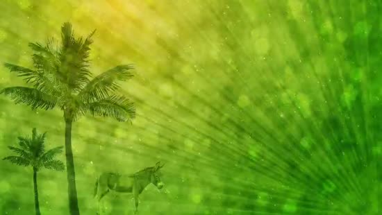 Palm Sunday: Palm Trees And Donkey | Videos2worship | SermonSpice