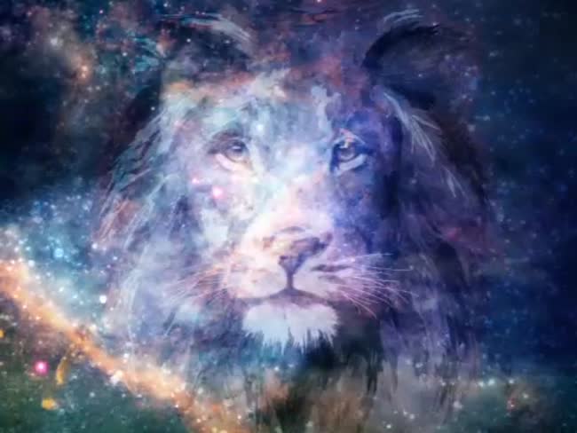 Lion Background | Videos2worship | SermonSpice