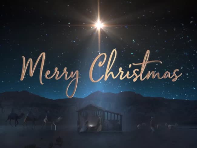 Starry Night Nativity Collection | Life Scribe Media | SermonSpice