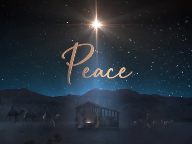 Starry Night Nativity Peace | Life Scribe Media | SermonSpice