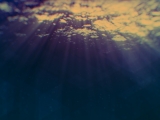Deep Blue