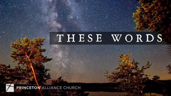 These Words | Princeton Alliance | SermonSpice