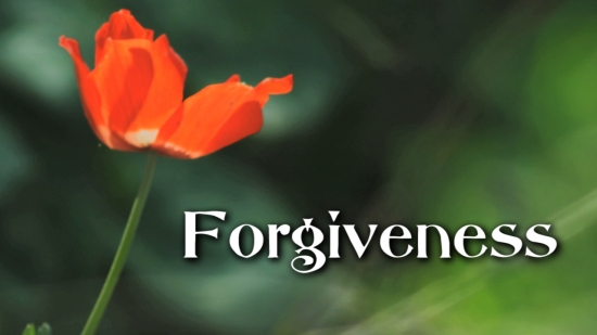 Forgiveness | Vertical Hold Media | SermonSpice