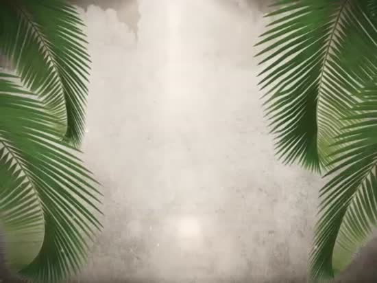 Palm Sunday Background 10 | Vertical Hold Media | SermonSpice