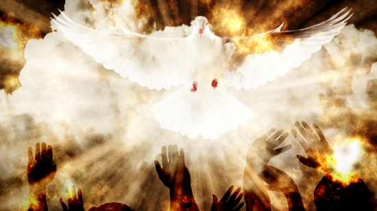 Baptism of the Holy Spirit | Vertical Hold Media | SermonSpice